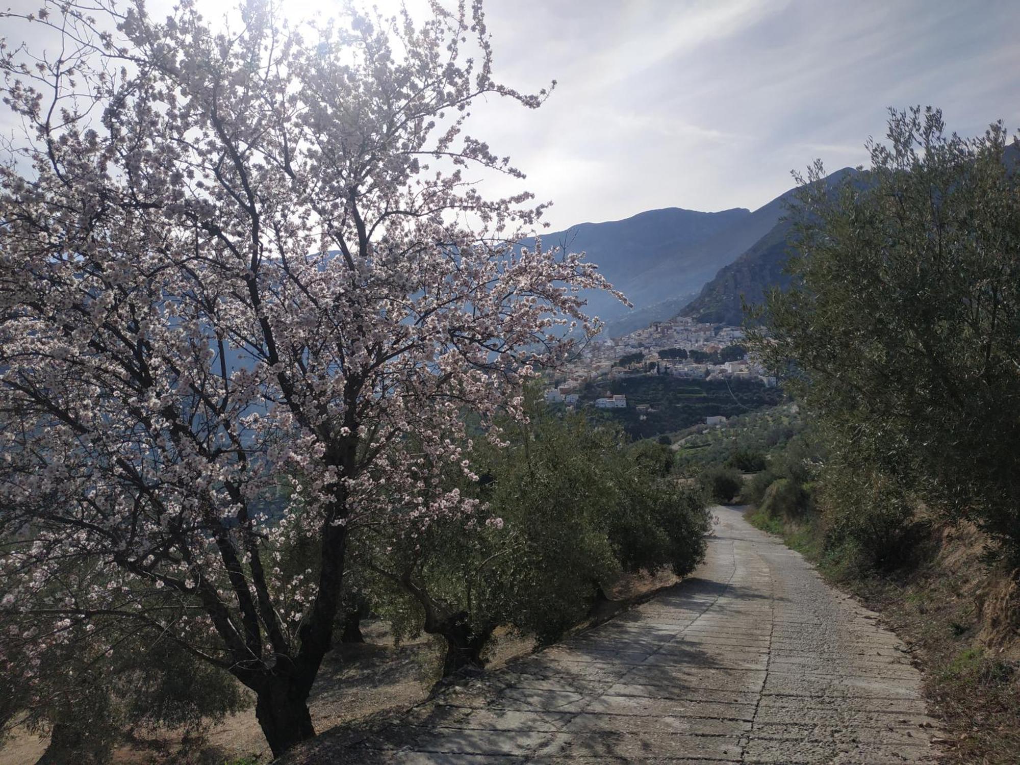Вілла Casa Rural Maestros Albanchez de Ubeda Екстер'єр фото
